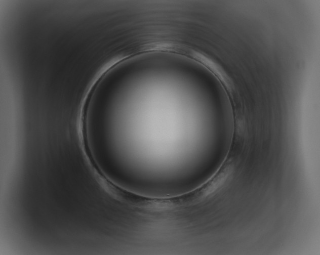 X0000101101050200806261508