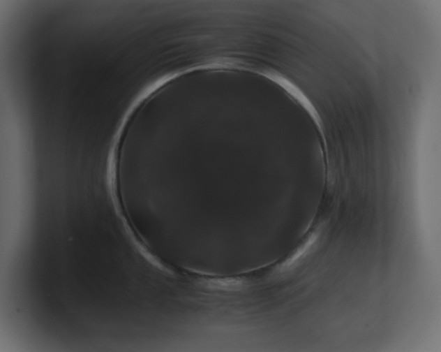 X0000101101053200806261508