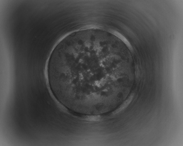 X0000101101055200806261508