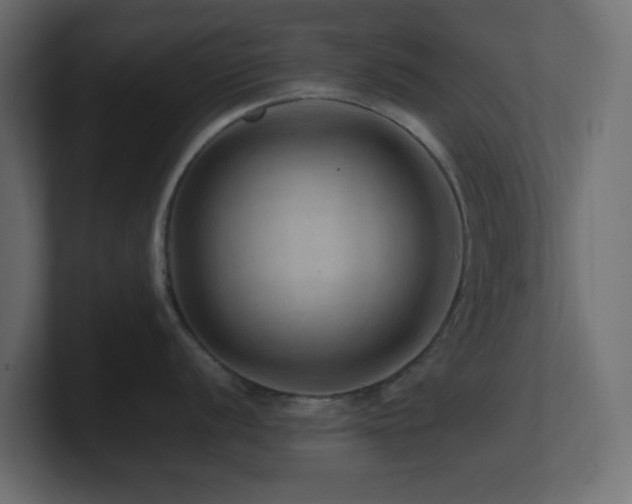 X0000101101056200806261508