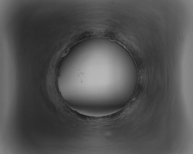 X0000101101057200806261507