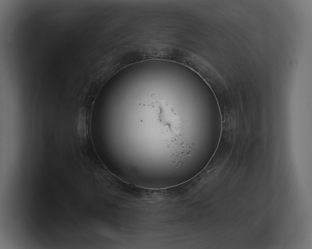 X0000101101058200806261507