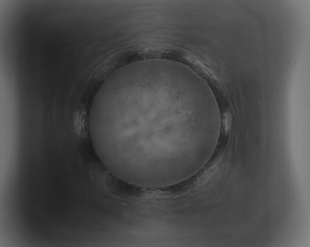 X0000101101059200806261507