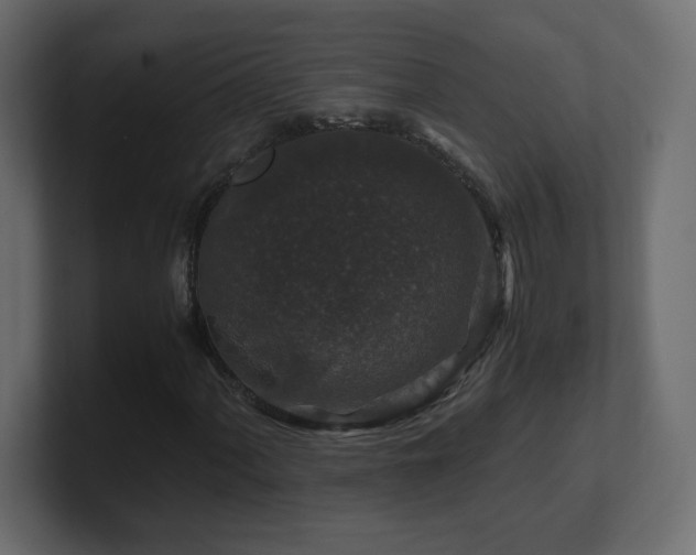 X0000101101060200806261507