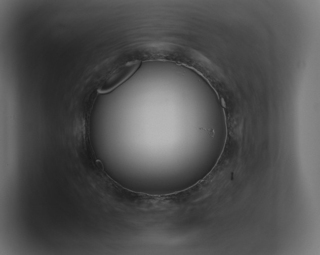 X0000101101061200806261507