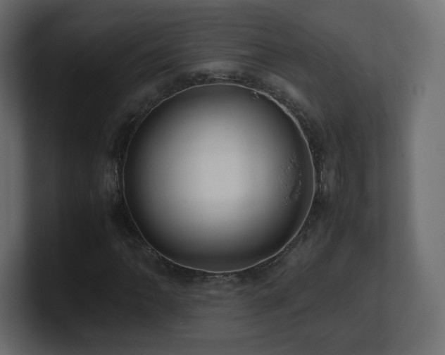 X0000101101062200806261507
