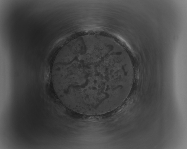 X0000101101063200806261507