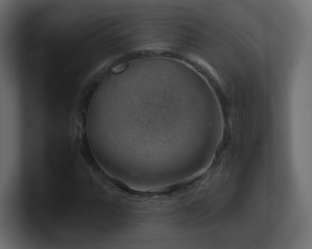 X0000101101064200806261507