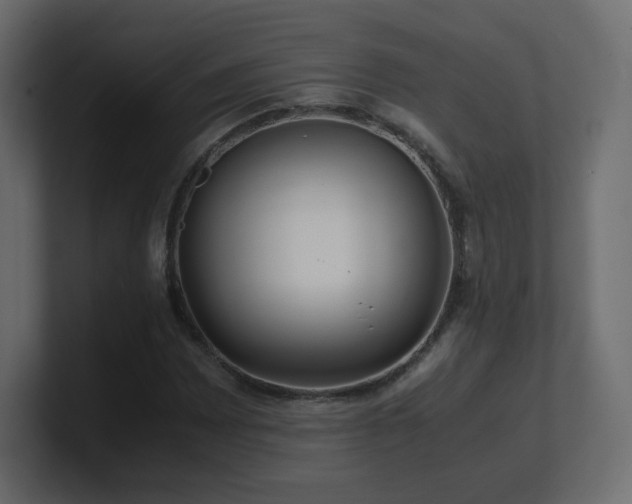 X0000101101065200806261507