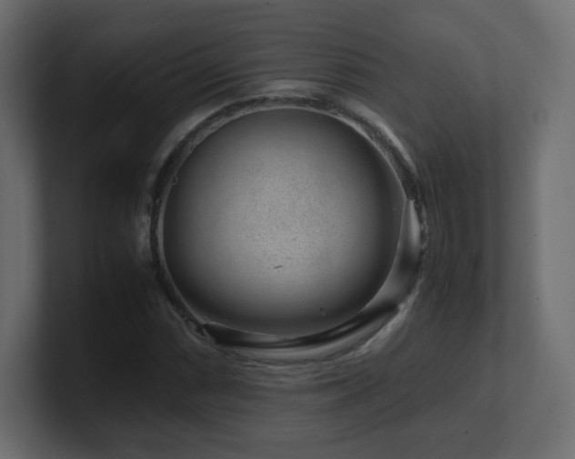 X0000101101066200806261507