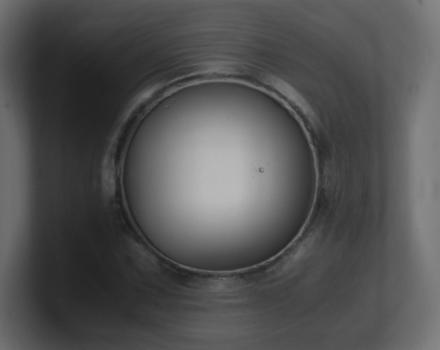 X0000101101067200806261507