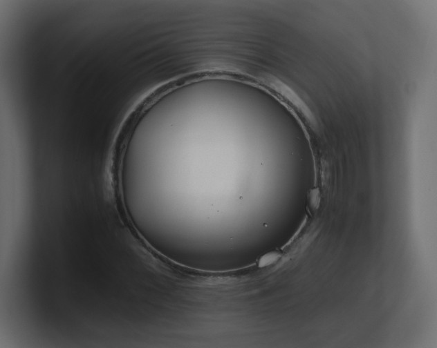 X0000101101068200806261507
