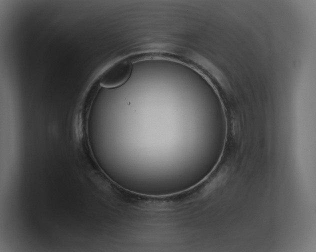 X0000101101069200806261507