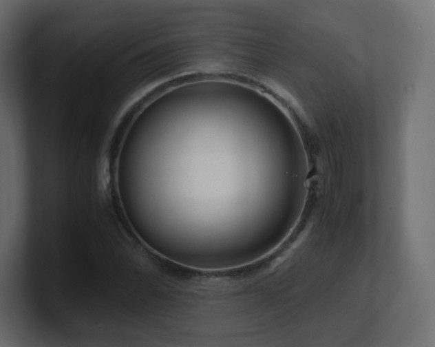 X0000101101070200806261507