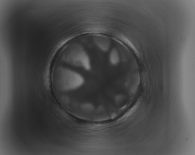 X0000101101071200806261507