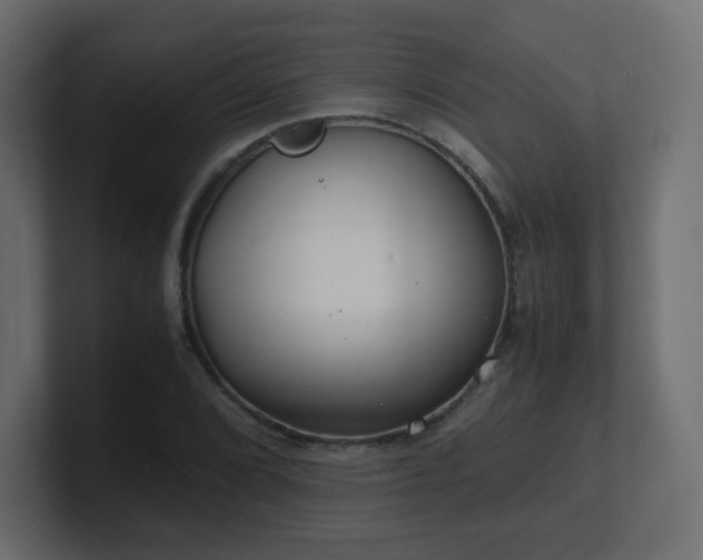 X0000101101072200806261507