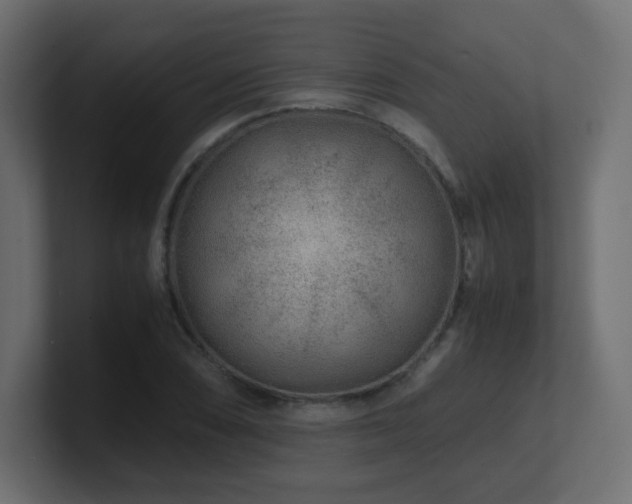 X0000101101074200806261507