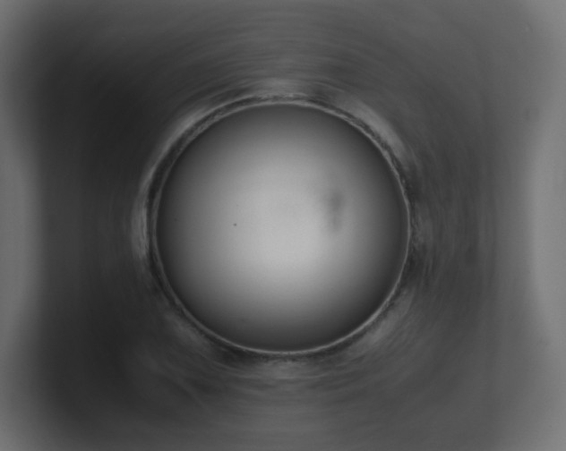 X0000101101075200806261507