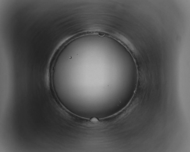 X0000101101076200806261507