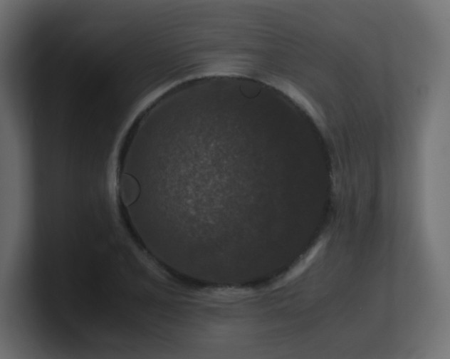 X0000101101077200806261507