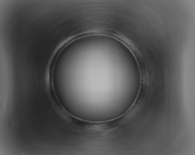 X0000101101078200806261507