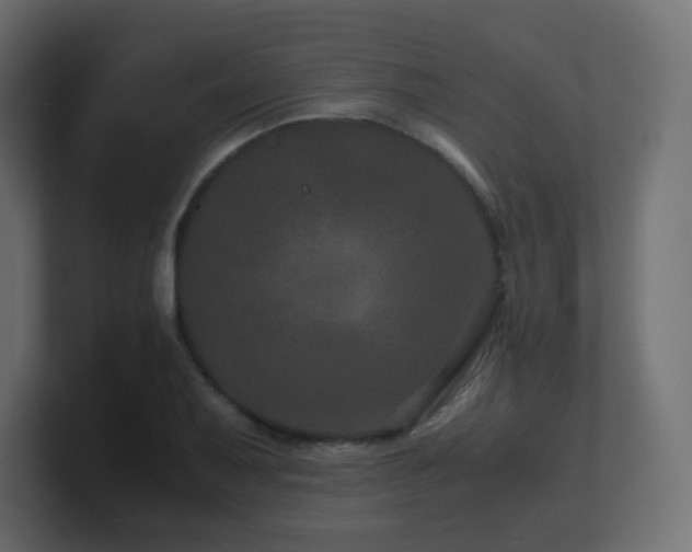 X0000101101079200806261507