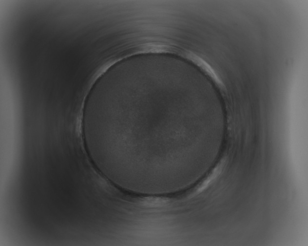 X0000101101081200806261507
