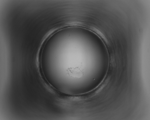 X0000101101082200806261507