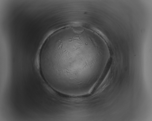 X0000101101083200806261507