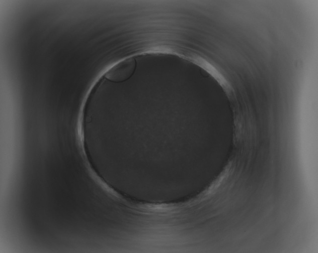X0000101101084200806261507