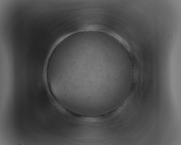X0000101101086200806261507
