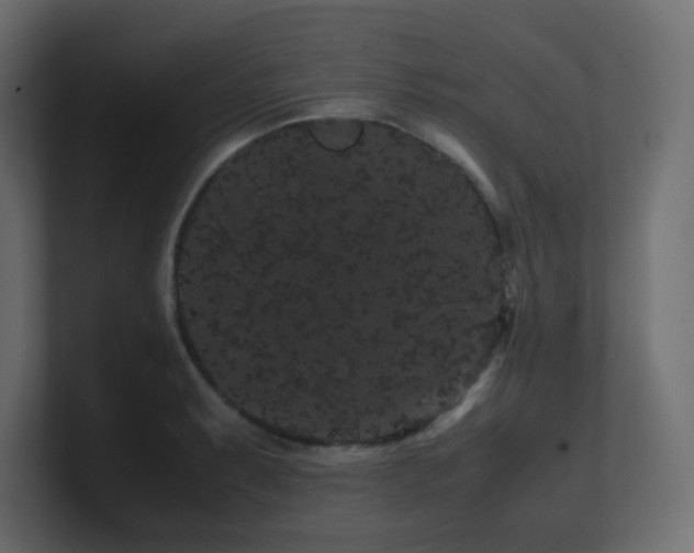X0000101101087200806261507
