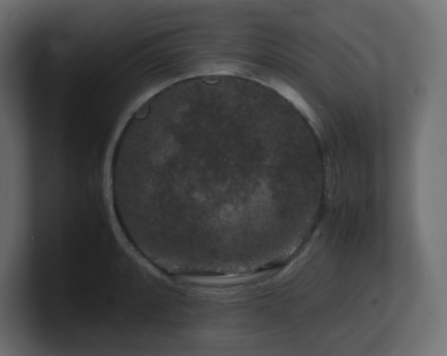 X0000101101088200806261507