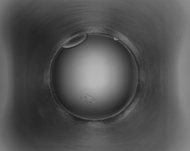 X0000101101089200806261507