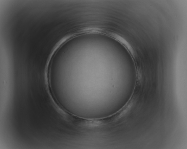 X0000101101090200806261507