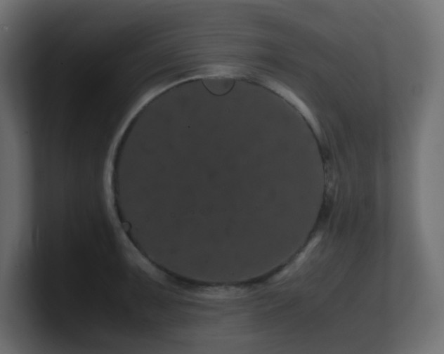 X0000101101091200806261507