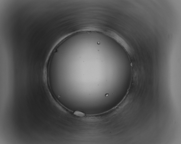 X0000101101092200806261507