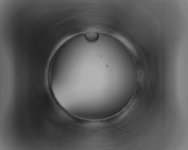 X0000101101094200806261507