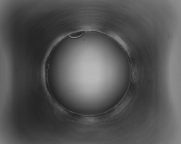X0000101101096200806261507