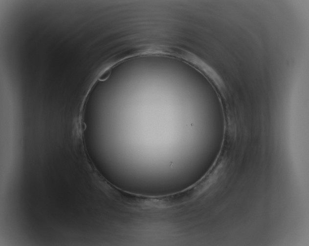 X0000101101097200806261507