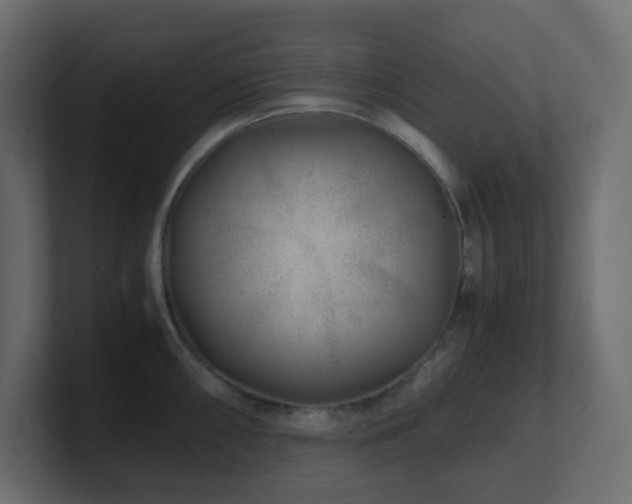 X0000101101098200806261507
