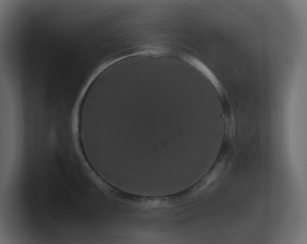 X0000101101099200806261507