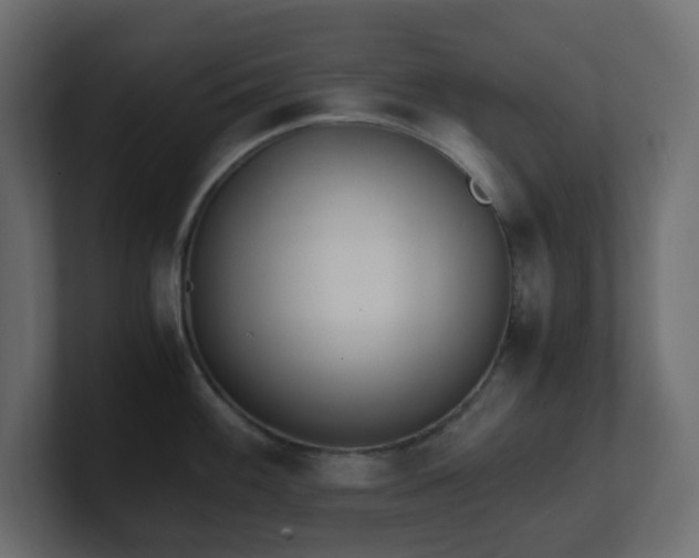 X0000101101100200806261507