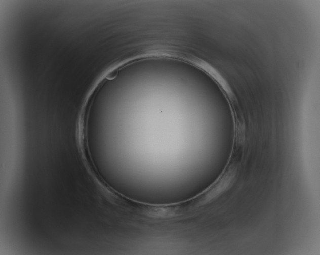 X0000101101101200806261507