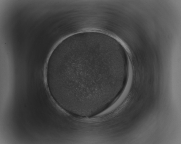 X0000101101102200806261507