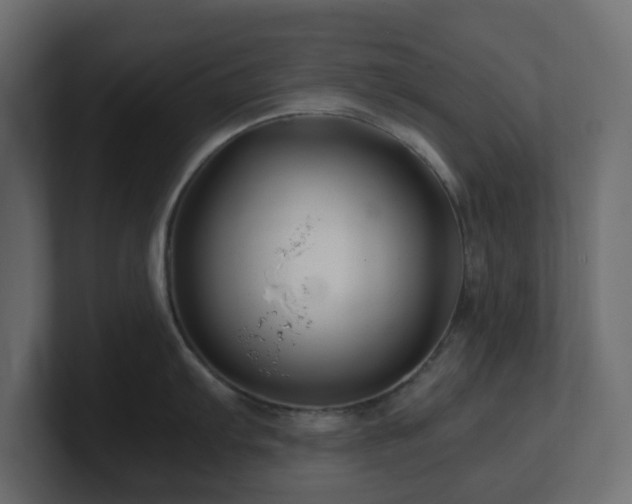 X0000101101103200806261507