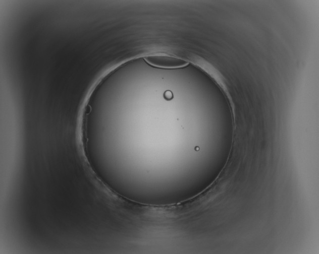 X0000101101104200806261507