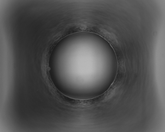 X0000101101105200806261506