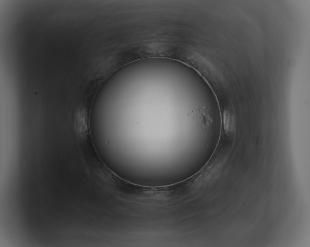 X0000101101107200806261506