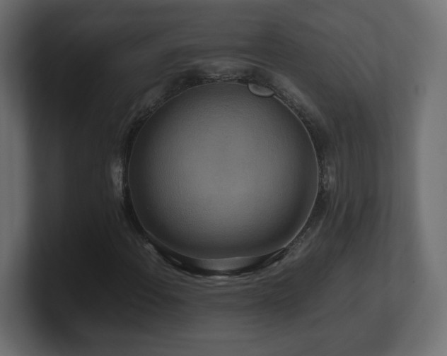 X0000101101108200806261506